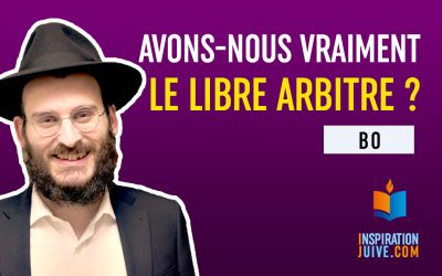 Avons-nous vraiment le libre arbitre ? – Bo