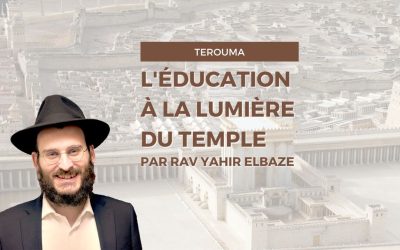 L&rsquo;éducation à la lumière du temple – Terouma