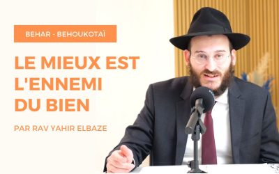 Le mieux est l&rsquo;ennemi du bien – Behar