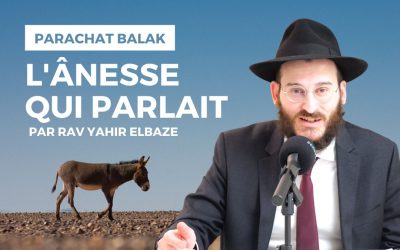 L&rsquo;ânesse qui parlait – Balak